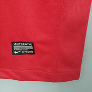 Portugal 2010 Home Retro Jersey