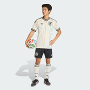 Japan 26/27 Away Fan Jersey