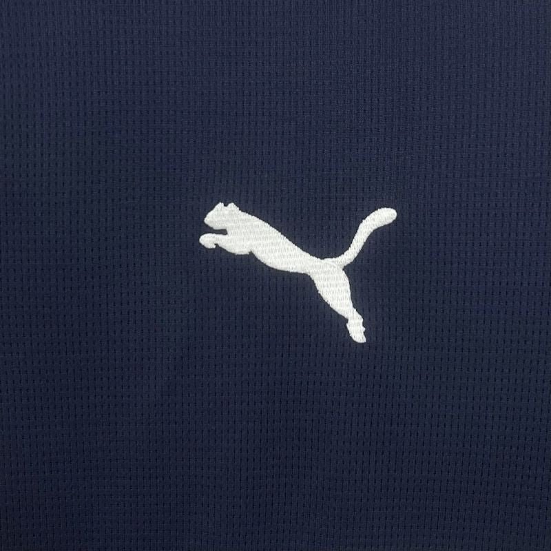 PSV Eindhoven 25/26 Away Fan Jersey