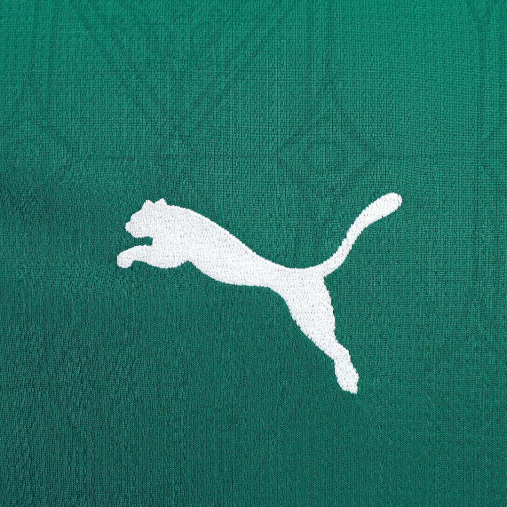 Palmeiras 25/26 Home Fan Jersey