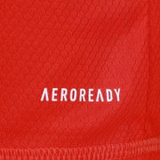 Flamengo 25/26 Fourth Goalkeeper Jersey