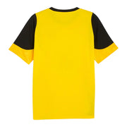 Borussia Dortmund 25/26 Training Jersey