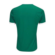 Palmeiras 25/26 Home Fan Jersey