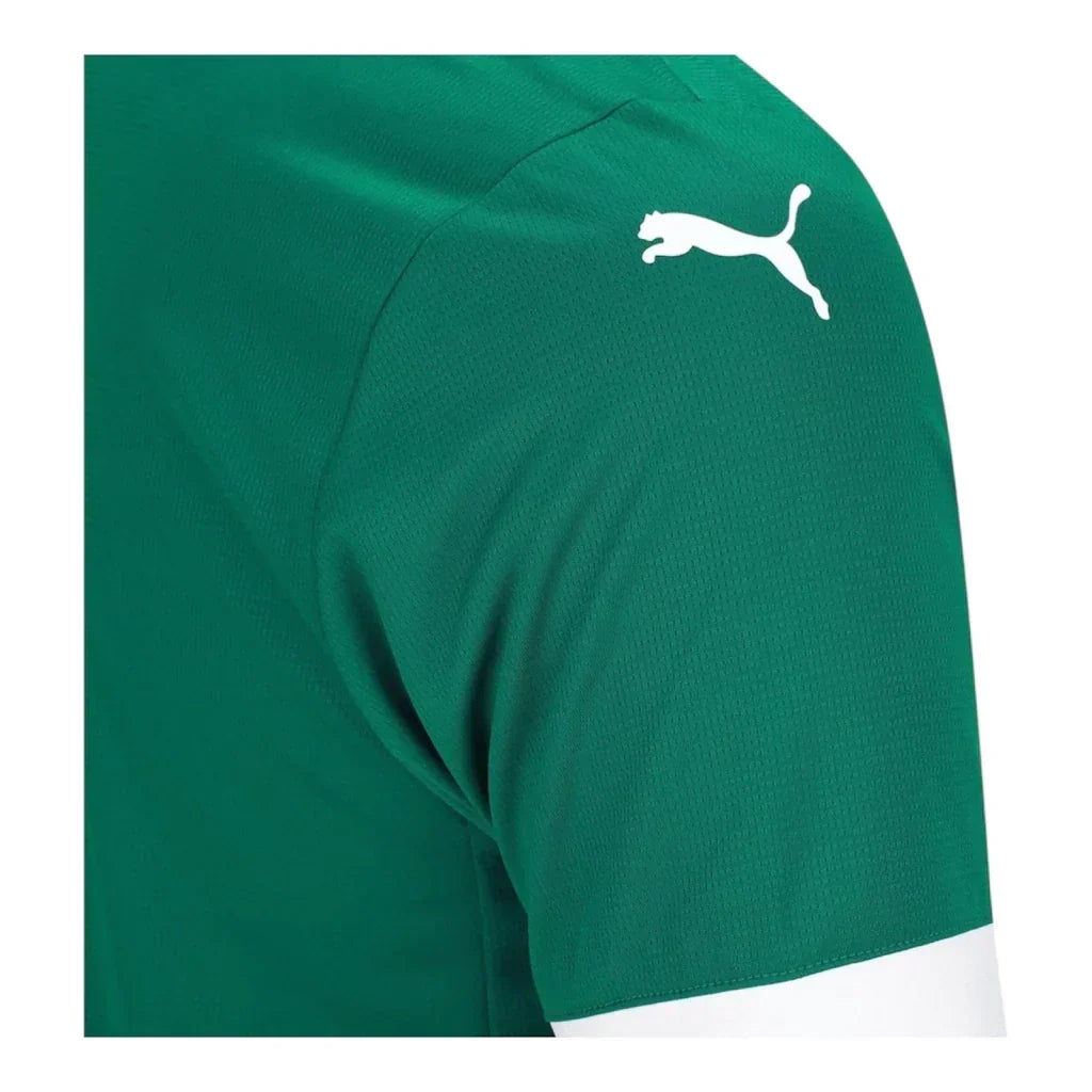 Palmeiras 25/26 Home Fan Jersey