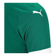 Palmeiras 25/26 Home Fan Jersey