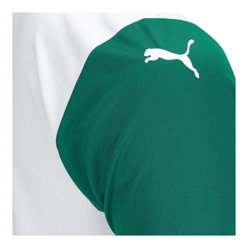 Palmeiras 25/26 Away Fan Jersey