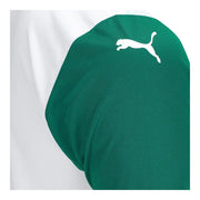 Palmeiras 25/26 Away Fan Jersey