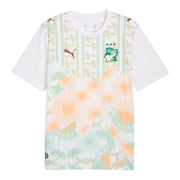 Ivory Coast 26/27 Away Fan Jersey