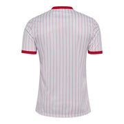 Denmark 26/27 Away Fan Jersey