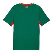 Senegal 26/27 Away Fan Jersey